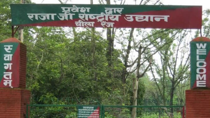 Rajaji National Park Haridwar