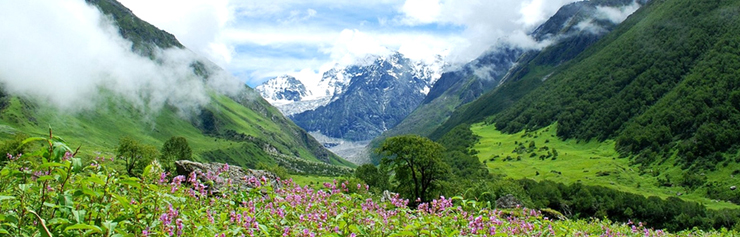 Valley of Flowers