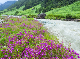 badrinath kedarnath tour package from mumbai